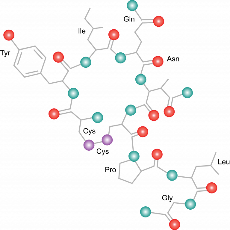 What Are Proteins The Evolution And Biology Of Sex