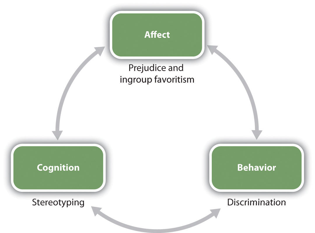 Chapter 12 Stereotypes Prejudice And Discrimination Principles Of Social Psychology