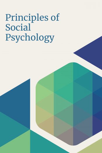 Cover image for Principles of Social Psychology