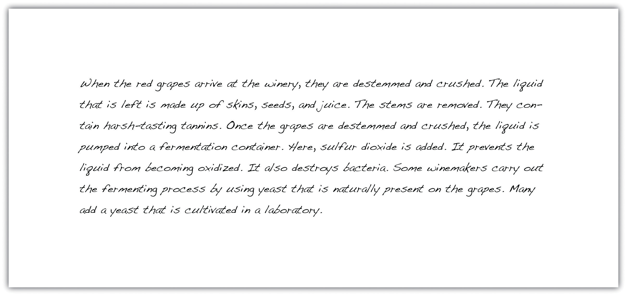 sample english paragraph