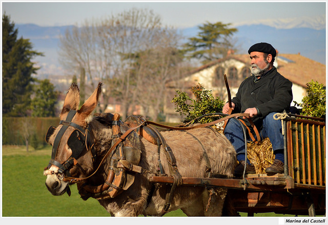 A man using a donkey to pull his wagon