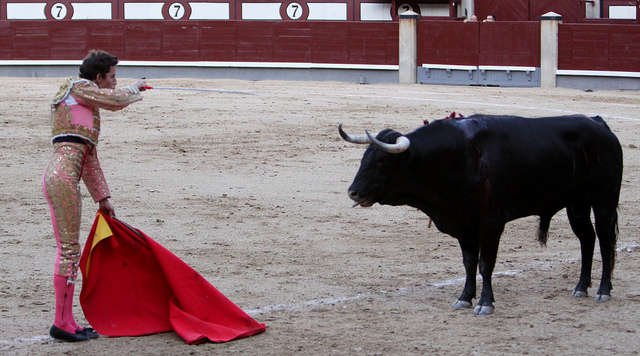 A matador taunting a bull with the red cape