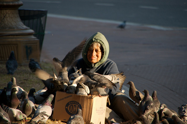 An elderly woman feeding pigeons on the street