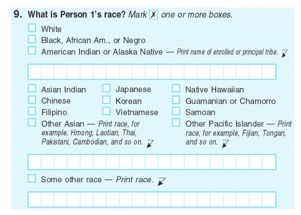 Census form 2010 on race