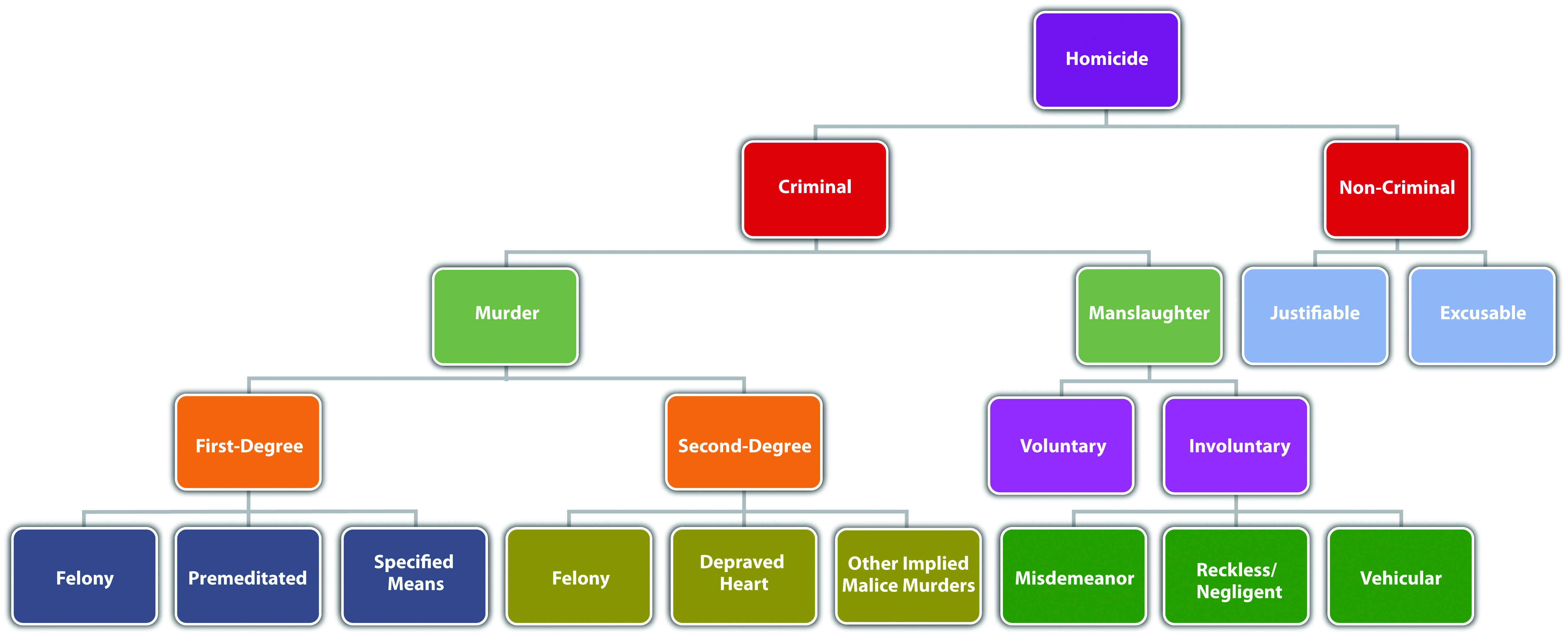 Diagram of Homicide