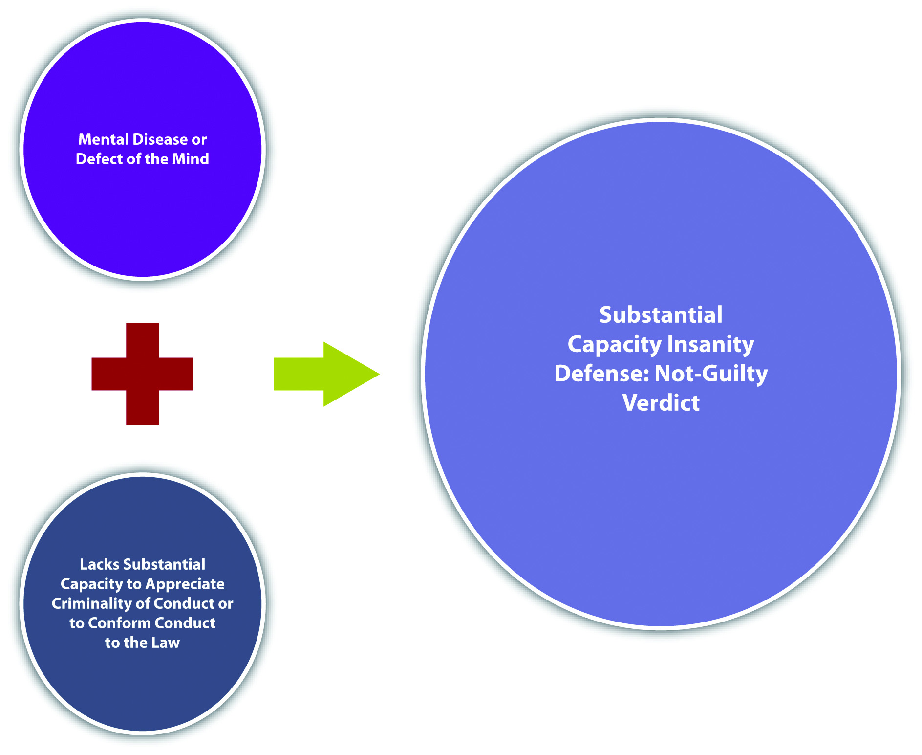 6.1 The Insanity Defense – Criminal Law