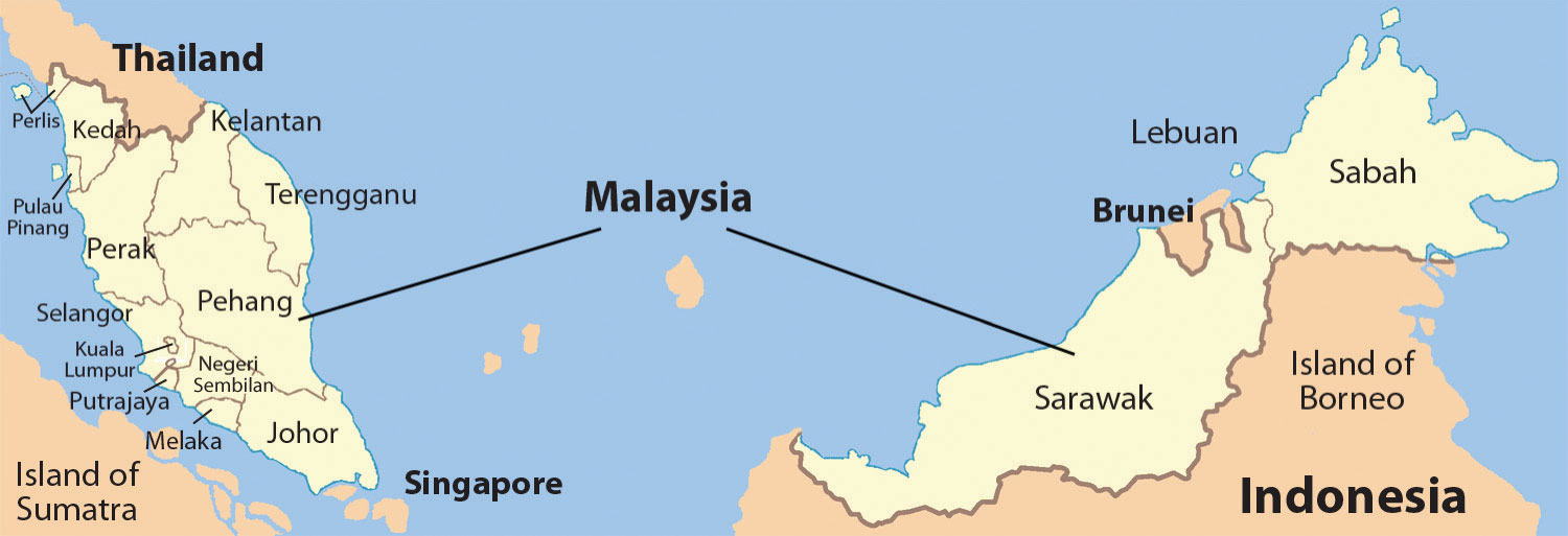 11.3 The Insular Region (Islands of Southeast Asia)