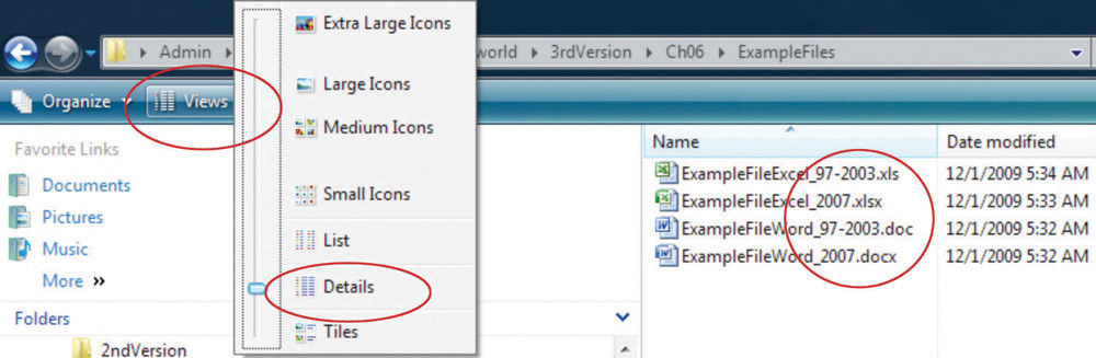 File: Extensions Displayed in Details View