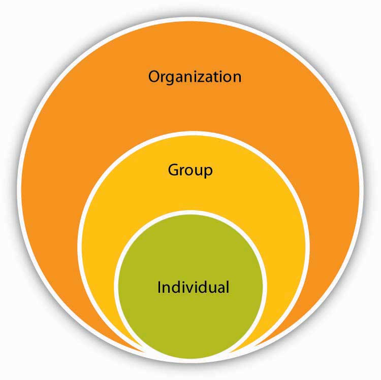 understanding organizational behavior