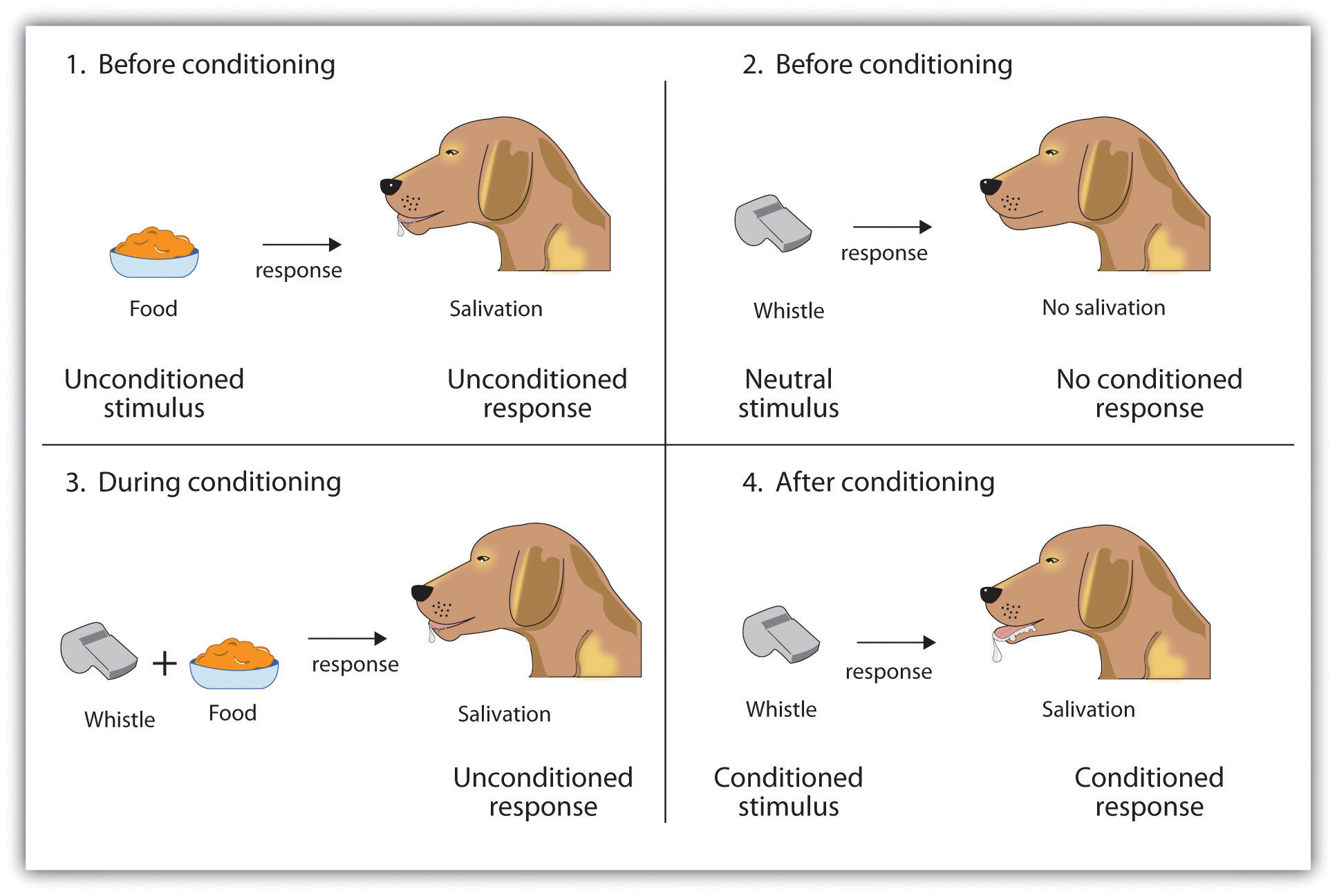 psychology conditioning assignment