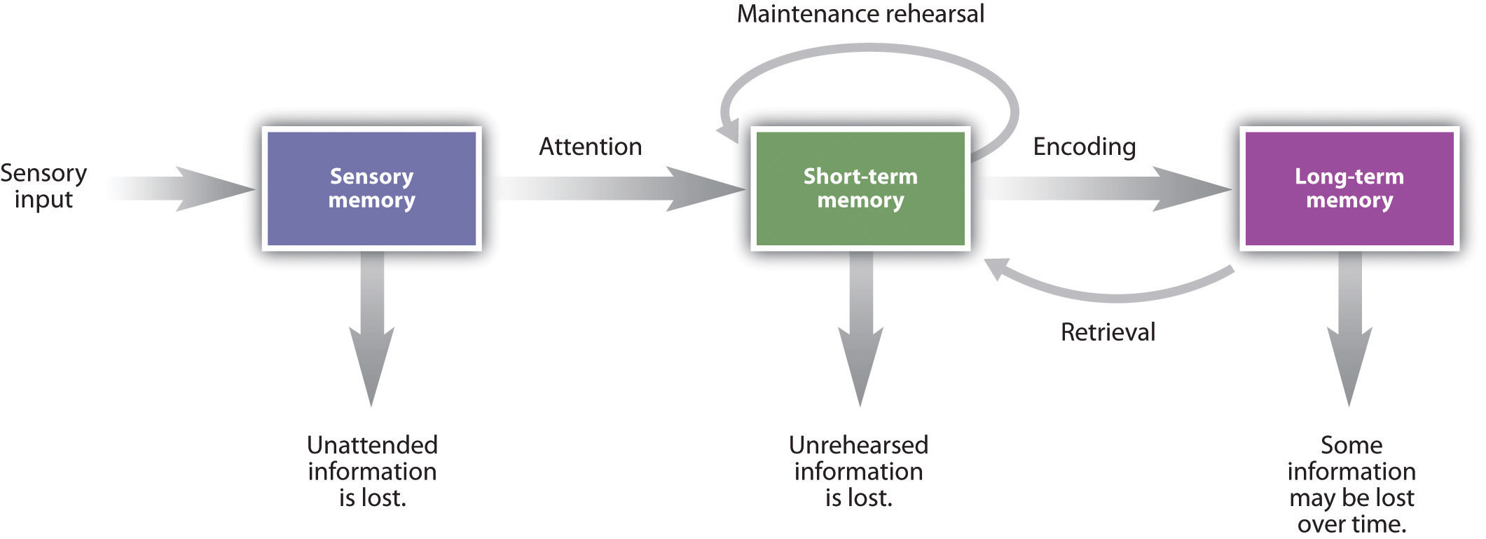 What Is The Storage Stage Of Memory