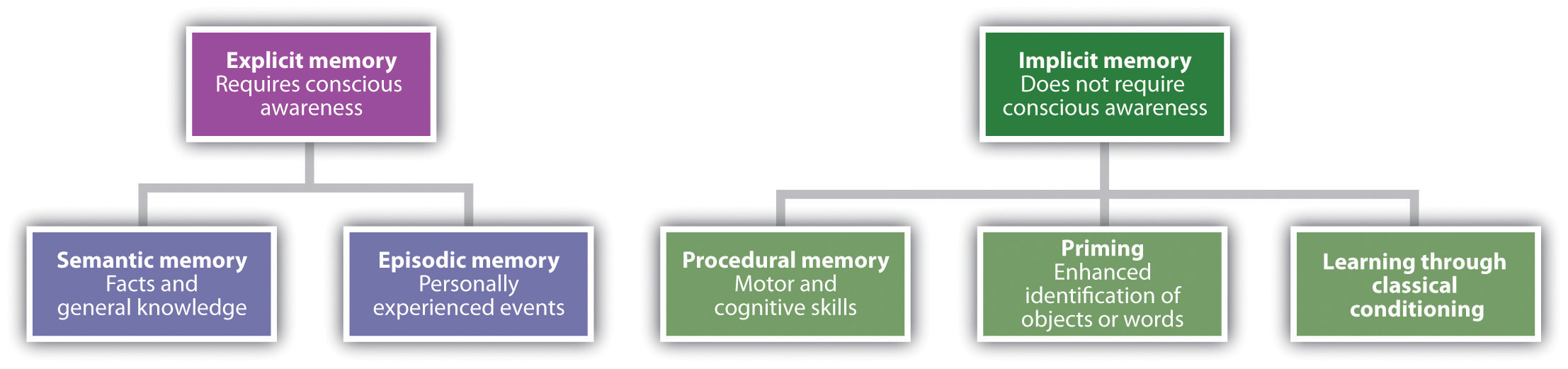 Types of Memory: Explicit memory (Semantic and Episodic memory) and Implicit memory (Procedural memory, Priming, and Learning through classical conditioning).