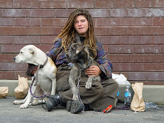 Homeless person on the street with dogs