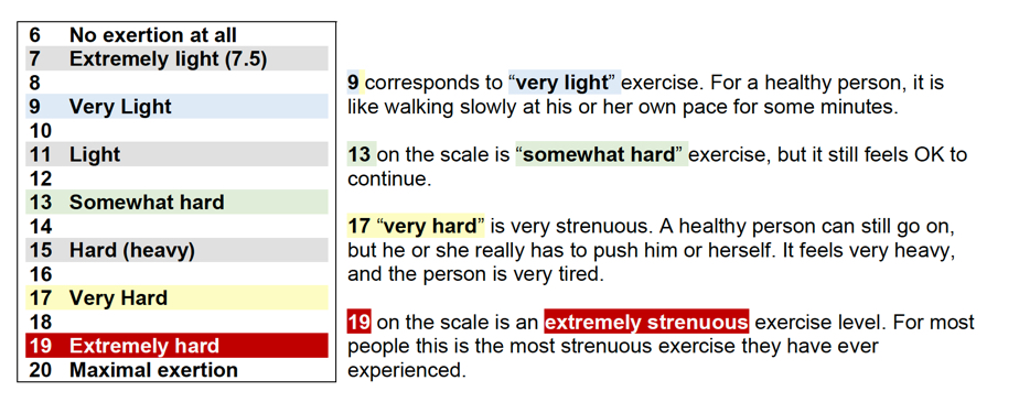 Table providing a number scale for levels of exertion: 6, no exertion, 7 extremely light, 9 very light, 11 light, 13 somewhat hard, 15 hard (heavy), 17 very hard, 19 extremely hard, 20 maximal exertion.