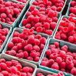 Picture of small cartons of fresh raspberries.