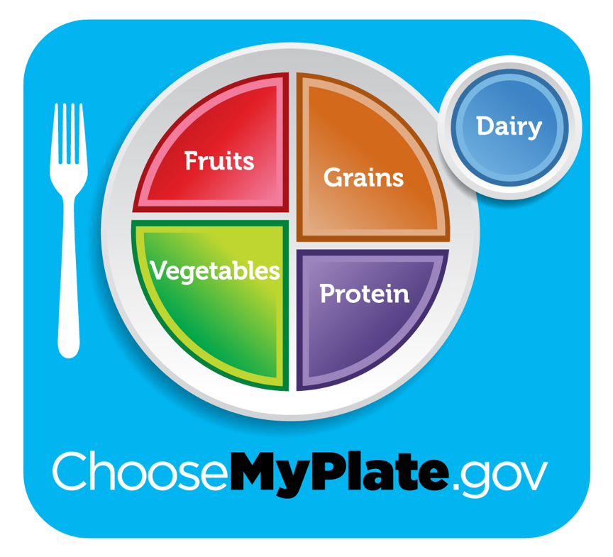Image of the MyPlate.gov layout indicating the portion sizes for fruits, grains, vegetables, protein, and dairy on a plate.