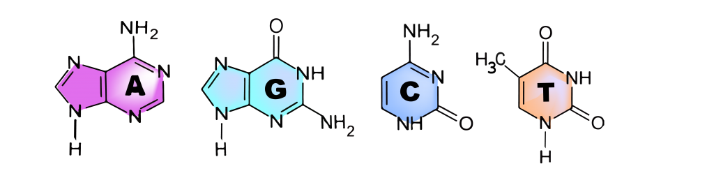 3 4 Nucleic Acids – The Evolution And Biology Of Sex