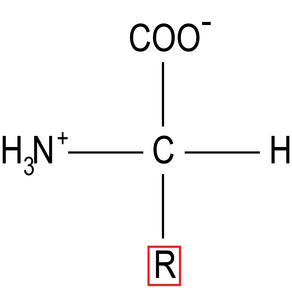 35 Amino Acids The Evolution And Biology Of Sex 2688