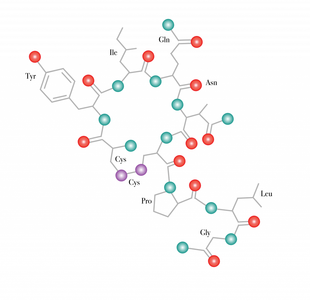 56 What Are Proteins The Evolution And Biology Of Sex 7844