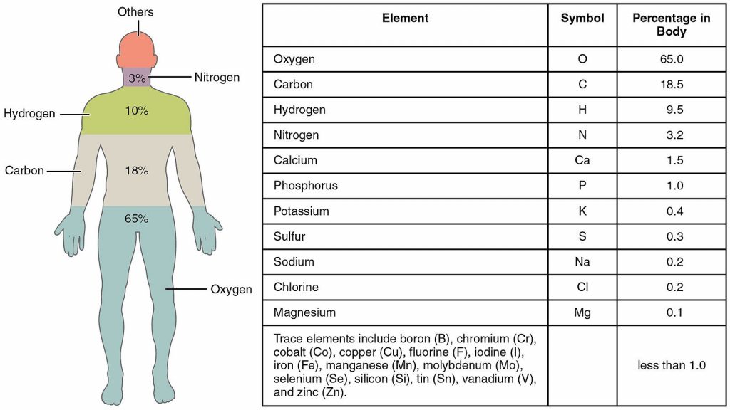 32 What Are Living Things Made Of The Evolution And Biology Of Sex 6495