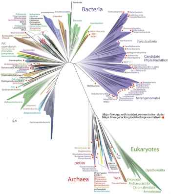 3.7 Cells – The Evolution and Biology of Sex