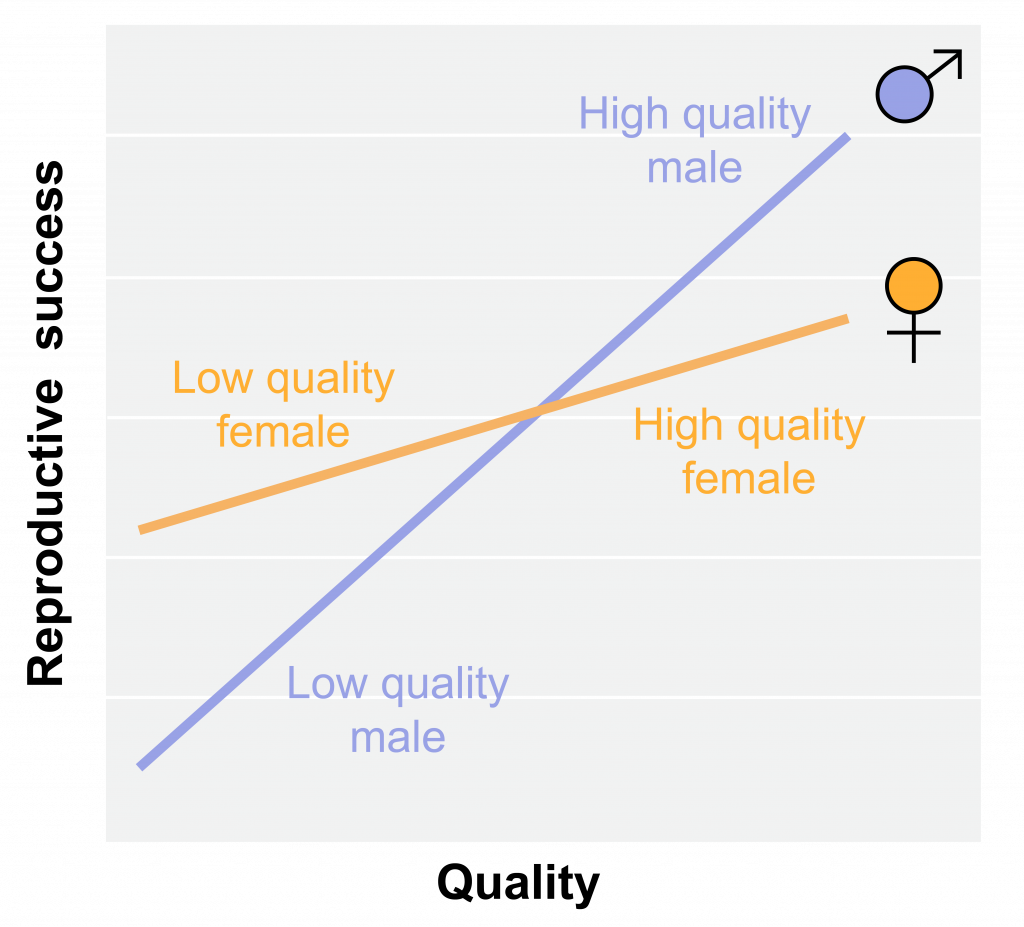 9.6 The Trivers-Willard hypothesis of sex allocation – The Evolution and  Biology of Sex