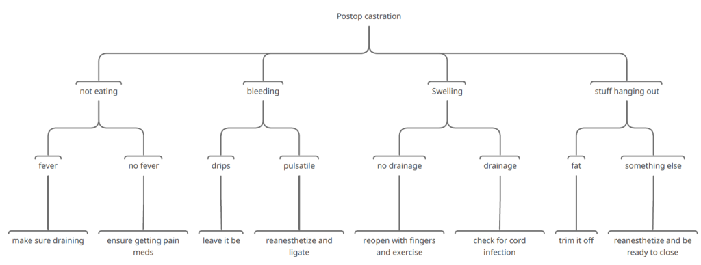 Castration complications – Large Animal Surgery – Supplemental Notes