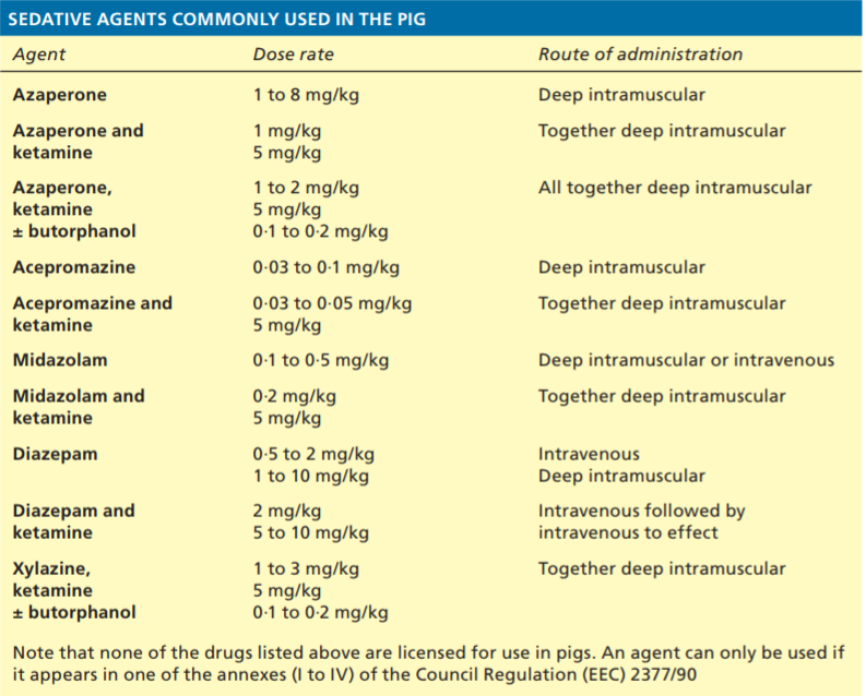 Swine Analgesia, Sedation and Anesthesia – Large Animal Surgery ...