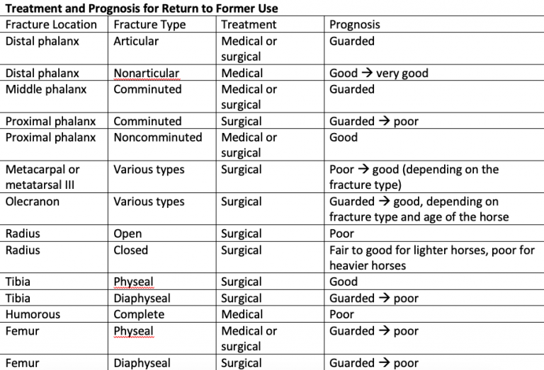 Limb fractures – Large Animal Surgery – Supplemental Notes