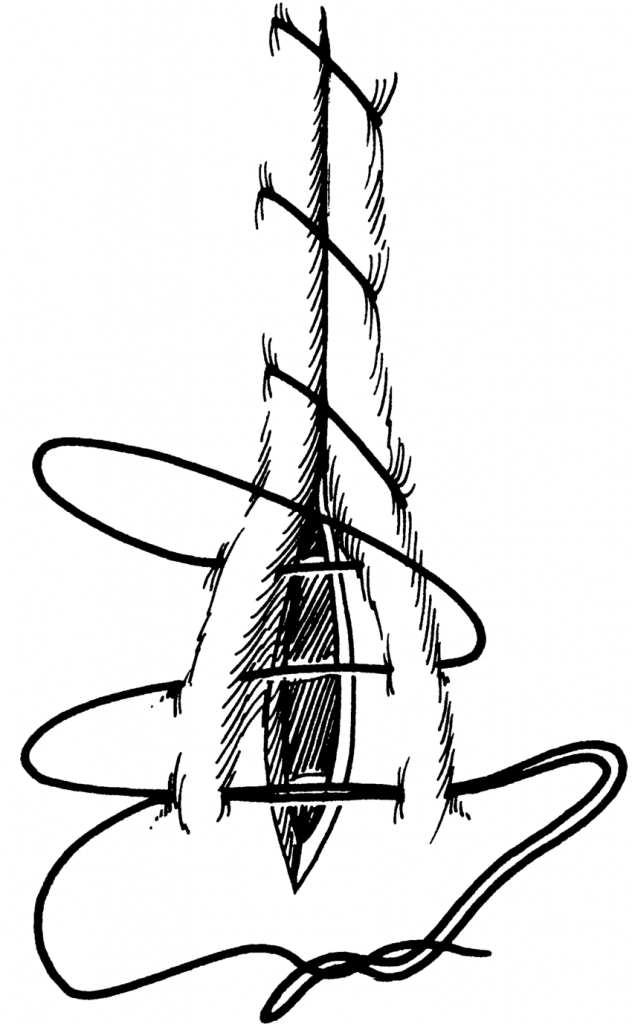 Suturing inverting suture patterns Large Animal Surgery