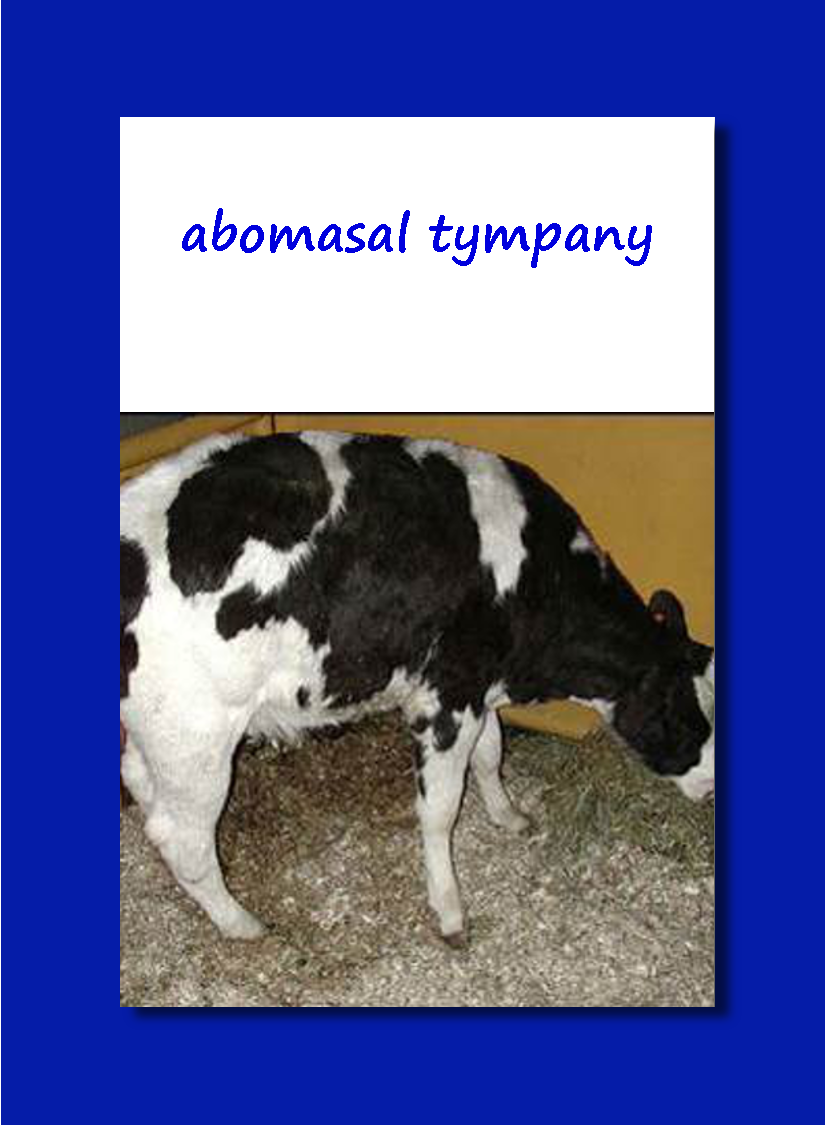Practice – Large Animal Surgery – Supplemental Notes