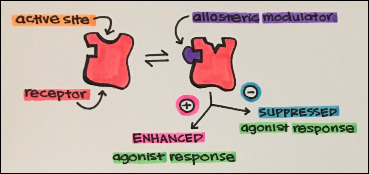 9. Receptor Allosteric Modulators – Principles of Pharmacology – Study ...