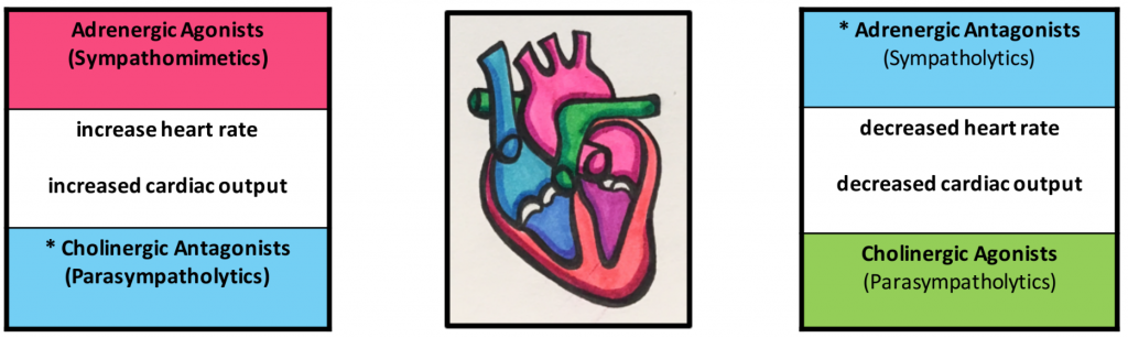 diagram of heart