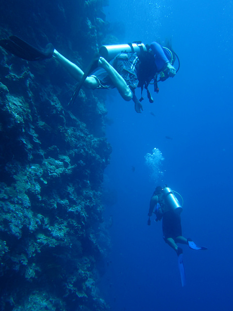 Two scuba divers diving near a wall in the ocean