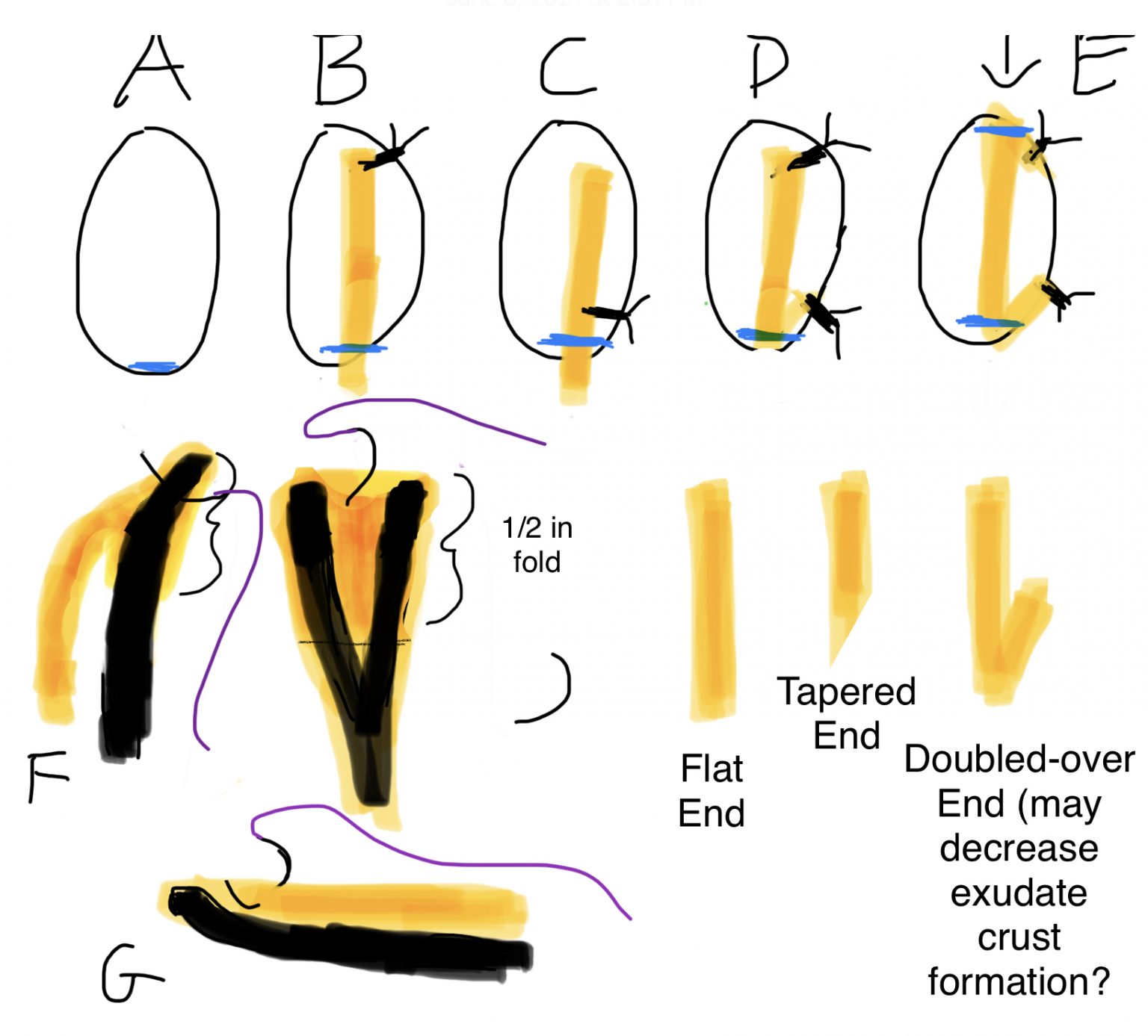 Abscess Management in the Cat/Dog Veterinary Clinical Skills Compendium