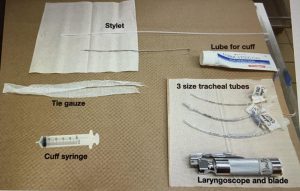 shows supplies needed for ET intubation of a cat Laryngoscope, 3 sizes of ET tubes, lube, stylet (2 types), 1ft length 1in cotton guaze tie, cuff syringe, itmes to be placed in cat are on fresth paper towel