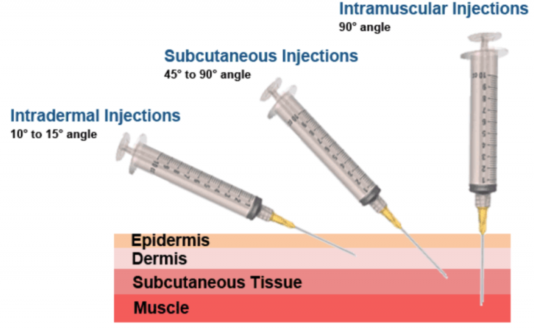 SQ injections – Veterinary Clinical Skills Compendium