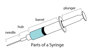 Parts of Syringe