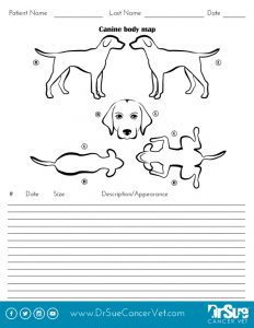 Canine body map