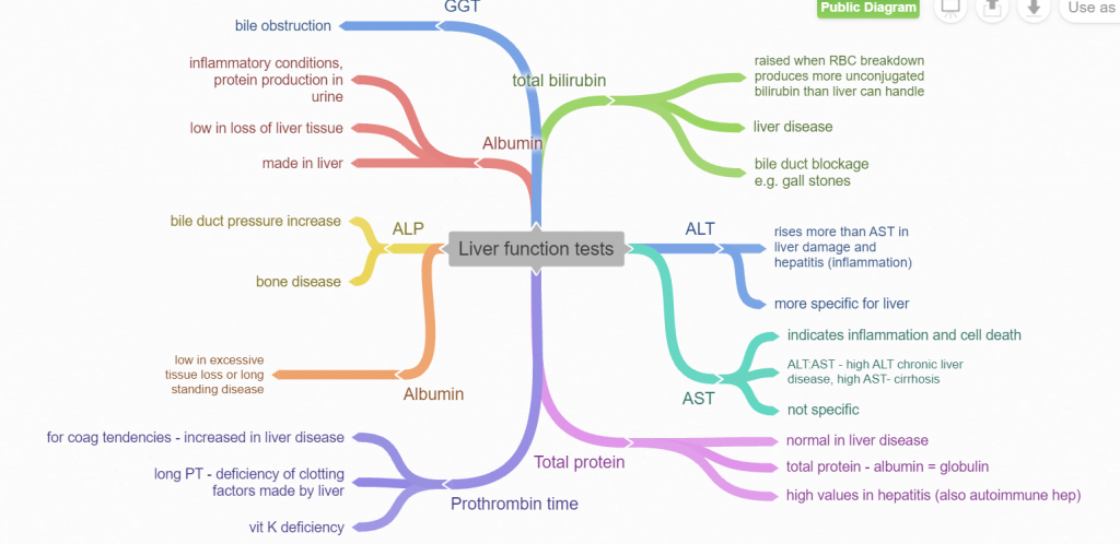 what causes elevated liver enzymes in a dog