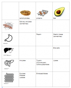 chart of nutrient enzymes and targets