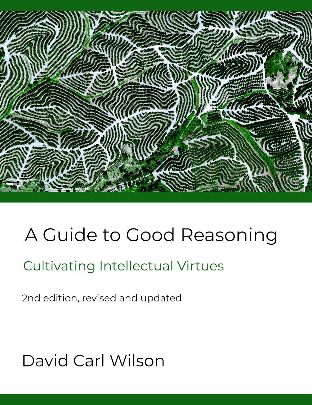 Cover image for A Guide to Good Reasoning: Cultivating Intellectual Virtues