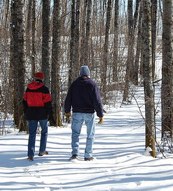 Two people walking in a woodland.