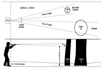 2. Conducting a Woodland Inventory – Woodland Stewardship: A Practical ...