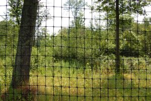 12. Wildlife and Forest Management – Woodland Stewardship: A Practical ...