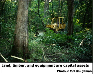 Land, timber, and equipment are capital assets