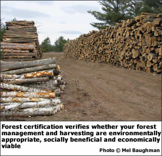 Forest certification verifies whether your forest management and harvesting are environmentally appropriate, socially beneficial and economically viable.