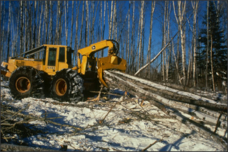 Chapter 9: Harvesting Timber