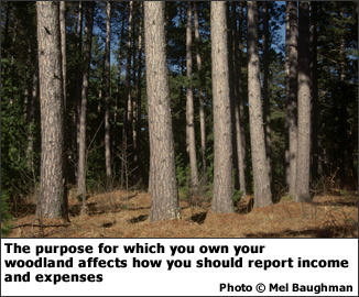 The purpose for which you own woodland affects how you should report income and expenses