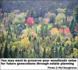 You may want to preserve your woodlands value for future generations through estate planning